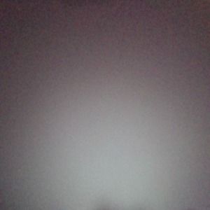 Meet your Posher, Chantele